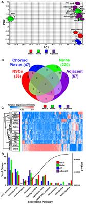 Transcriptional Profiling of Ligand Expression in Cell Specific Populations of the Adult Mouse Forebrain That Regulates Neurogenesis